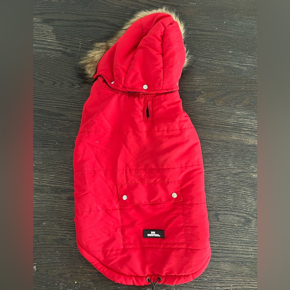 Red Dog Winter Coat with Hood